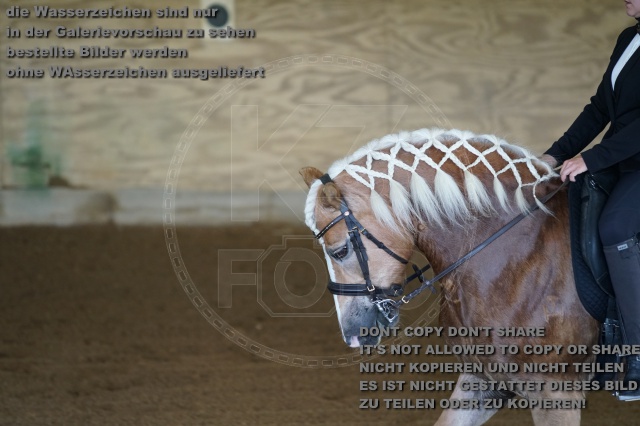 s_K3F03281.JPG